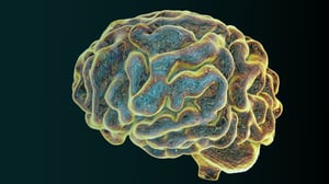 digitally generated brain representing intelligence concept