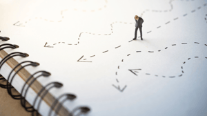 Organizational decision making